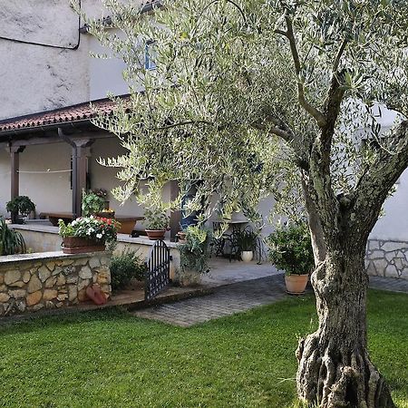 Apartment Vita Porec Exterior photo
